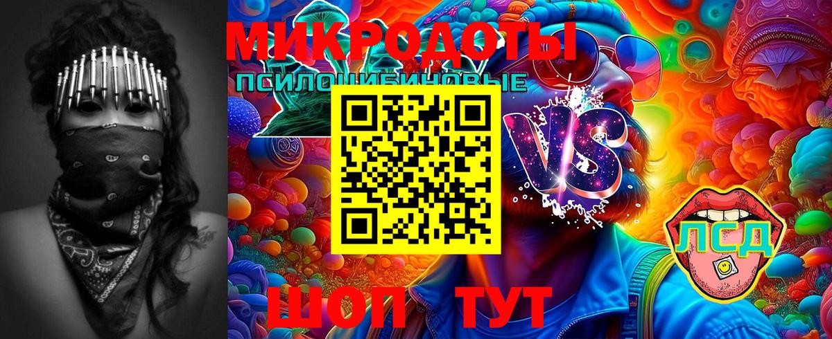 Фурманов  Галлюциногенные грибы Cubensis  Вход с VPN 