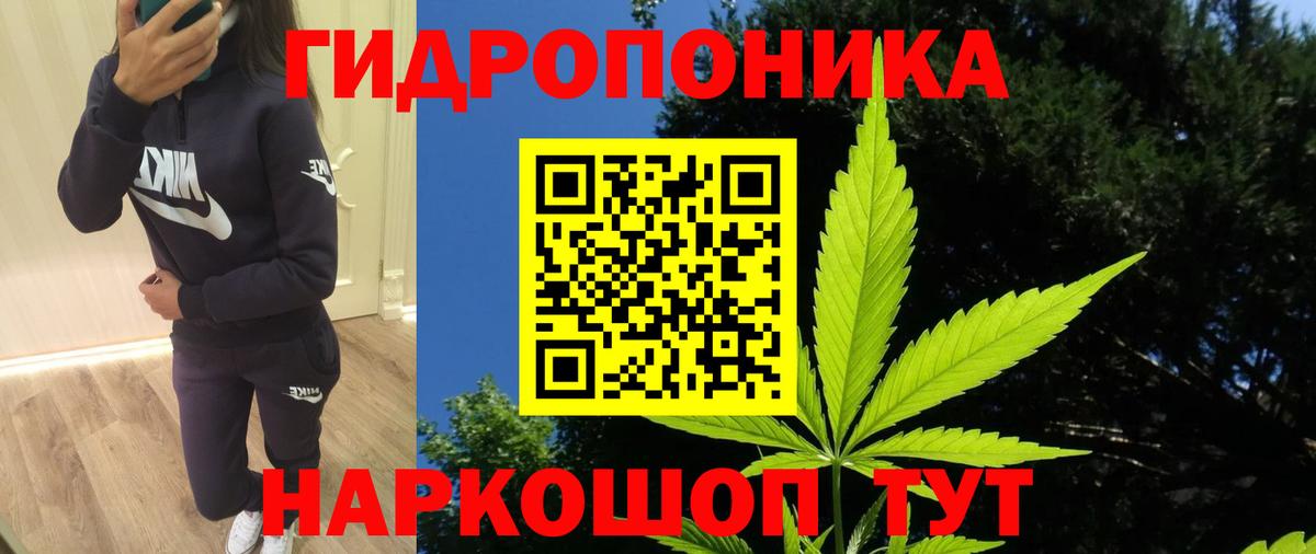 Конопля AK-47 Фурманов